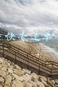 特快专递单号