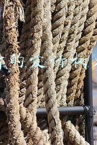 好听的爱情树名称