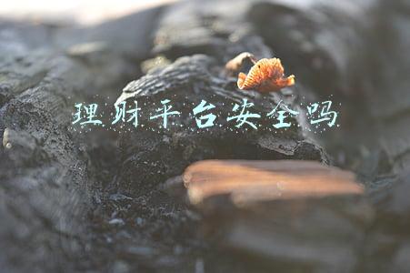 理财平台安全吗