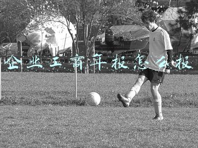企业工商年报怎么报