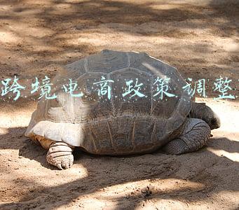 跨境电商政策调整