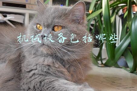 机械设备包括哪些