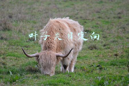 叶子类目定向