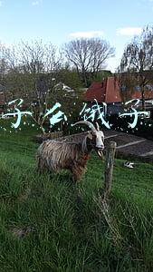 饿了么饿了么