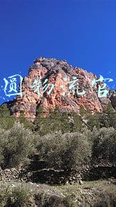 方圆物流官网