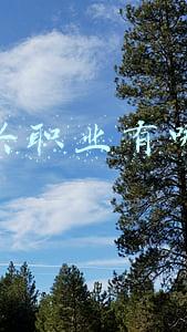 新兴职业有哪些
