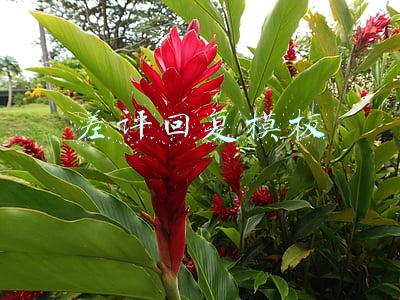差评回复模板