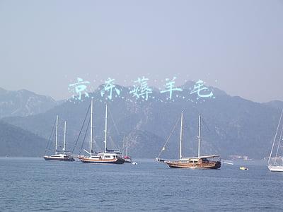 京东薅羊毛