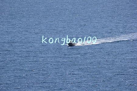 kongbao100