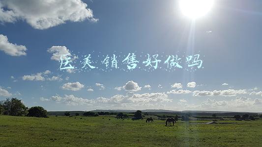 医美销售好做吗