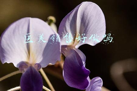 医美销售好做吗