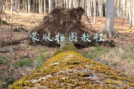 蒙版抠图教程