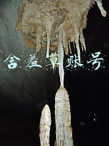 含羞草账号