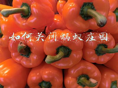 如何关闭蚂蚁庄园