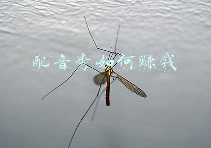 配音秀如何赚钱