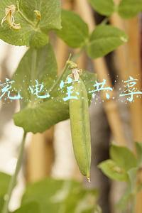 充电宝共享