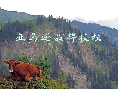 亚马逊品牌授权会关联吗(亚马逊店铺还没注册下来，商标先授权给其他店铺备案有什么影响吗)
