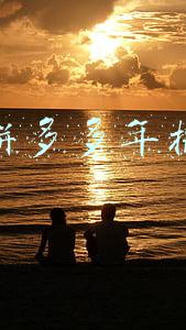 拼多多年报