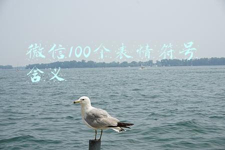 微信100个表情符号含义