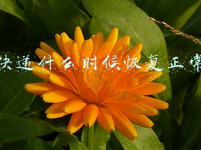 快递什么时候恢复正常2022(2022年上海疫情快递最新消息：能正常收发吗？什么时候恢复正常？)
