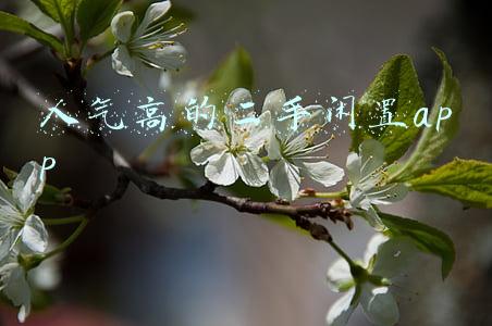 人气高的二手闲置app