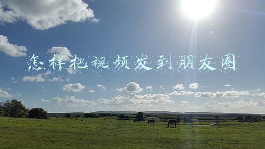 怎样把视频发到朋友圈