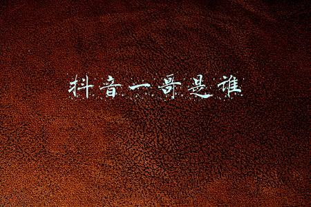 抖音一哥是谁