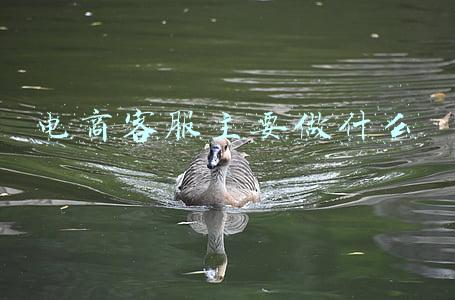 电商客服主要做什么