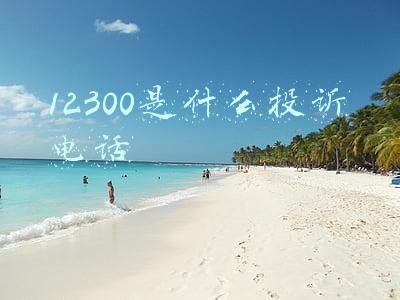 12300是什么投诉电话