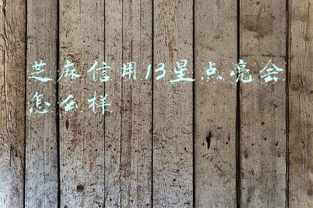 芝麻信用13星点亮会怎么样