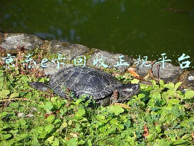 京东e卡回收正规平台
