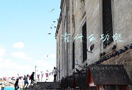 丁丁软件有什么功能