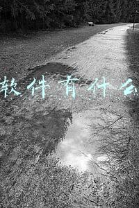 丁丁软件有什么功能