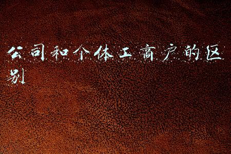 有限责任公司和个体工商户的区别(今天简单了整理公司和个体户的区别)