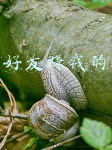 邀请好友赚钱的软件