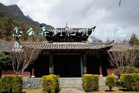 怎么弄到花呗12期免息