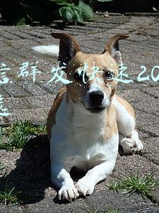 微信群发快速200人勾选