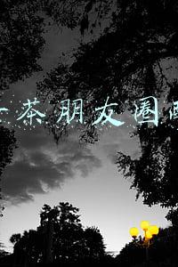 下午茶朋友圈配文