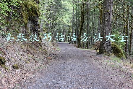 要账技巧话语方法大全