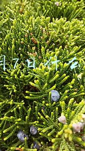3月7日什么节