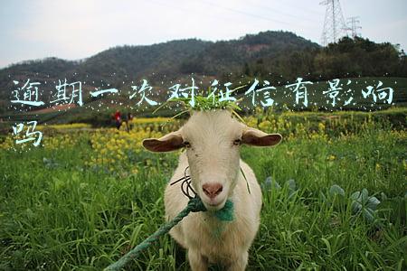 逾期一次对征信有影响吗