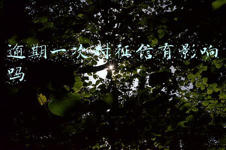 逾期一次对征信有影响吗