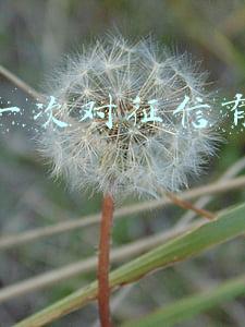 逾期一次对征信有影响吗