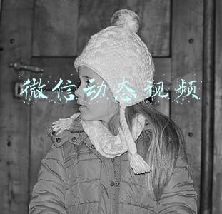 微信动态视频
