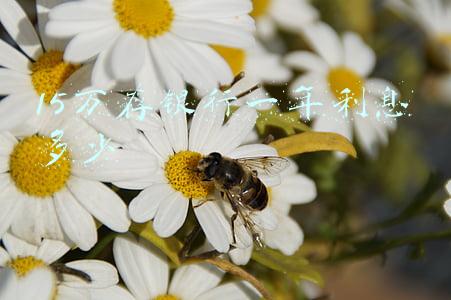 15万存银行一年利息多少
