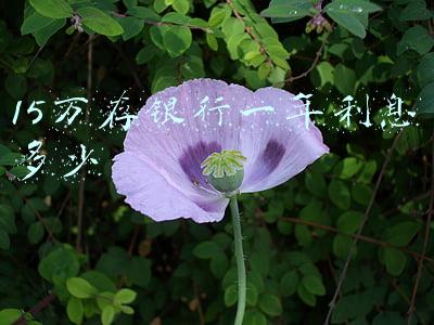 15万存银行一年利息多少