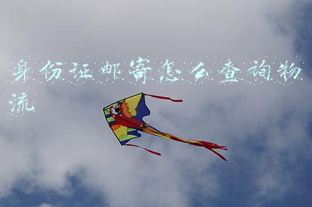 身份证邮寄怎么查询物流