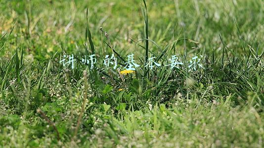 讲师的基本要求