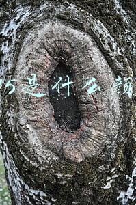 tf15是什么颜色