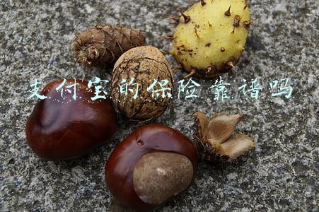 支付宝蚂蚁保险靠谱(蚂蚁保现乌龙，你买的养老金真的是“全民保·养老金”吗？)